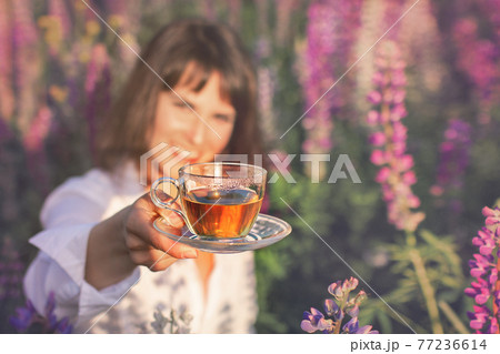 floral tea in hand of woman in field of lupins floral tea in hand of woman in field of lupins 77236614