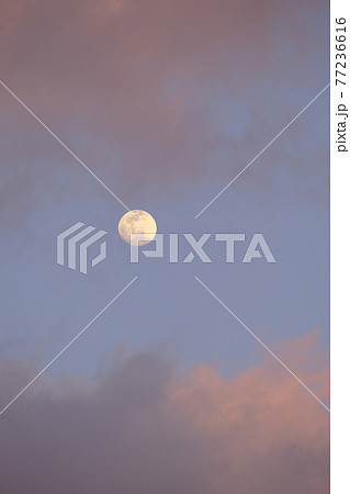 十三夜 十三夜 77236616