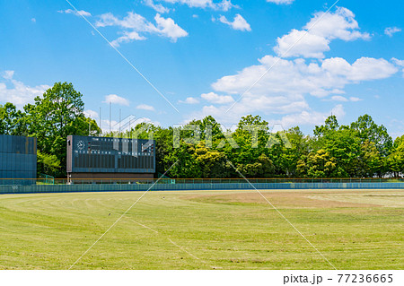 球場  77236665