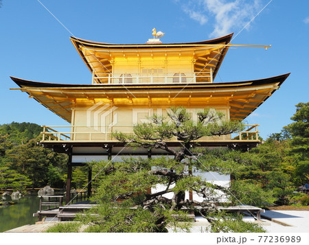 春の金閣寺 こけらぶき屋根のふき替え後 春の金閣寺 こけらぶき屋根のふき替え後 77236989