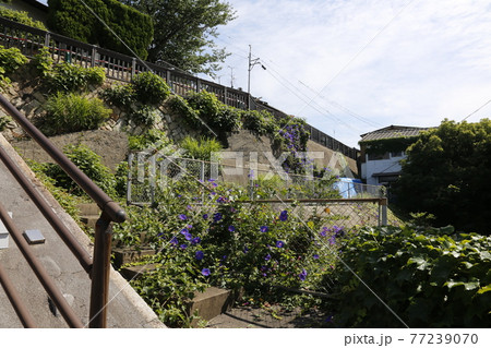 下関界隈　JR下関駅　大歳神社　下関海峡ゆめタワー 77239070