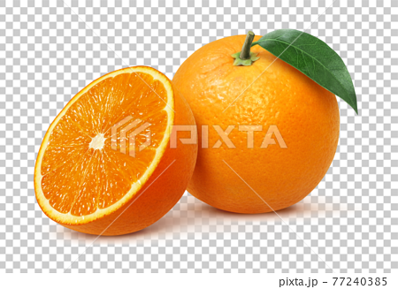 オレンジ イラスト リアル セット 77240385