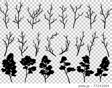 手描きのモノクロの木と枝のセット ベクター素材のイラスト素材