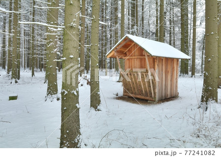 Hunting feeder for animals during winter Hunting feeder for animals during winter 77241082