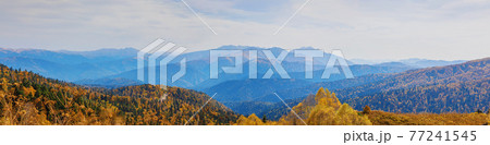 Autumn blue sky with white clouds and mountains on the yellowed vegetation 77241545