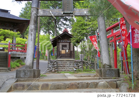 塩船観音寺　つつじ満開 77241728