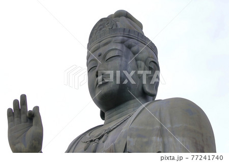 塩船観音寺　つつじ満開 77241740