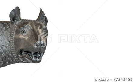 Head of the mother wolf statue from Rome, isolated at background, Rome, Italy Head of the mother wolf statue from Rome, isolated at background, Rome, Italy 77243459