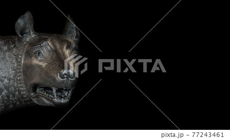 Head of the mother wolf statue from Rome, isolated at background, Rome, Italy 77243461