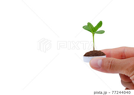 Hand holding a bottle cup plastic with a tree on white background. save the earth ecology concept. 77244040