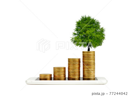 smart phone with a tree growing on a coin step increase. white background. business concept. smart phone with a tree growing on a coin step increase. white background. business concept. 77244042