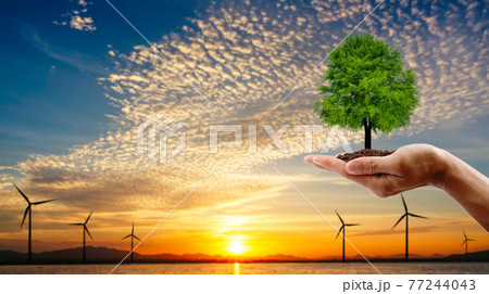 Hand holding the tree. turbin ecology technology with sun set background. save the earth concept. 77244043