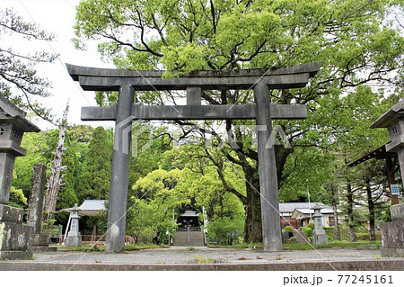 徳重神社入り口鳥居 77245161