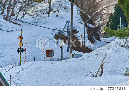 3月岩手県北上市和歌仙人の北上線踏切 3月岩手県北上市和歌仙人の北上線踏切 77245818