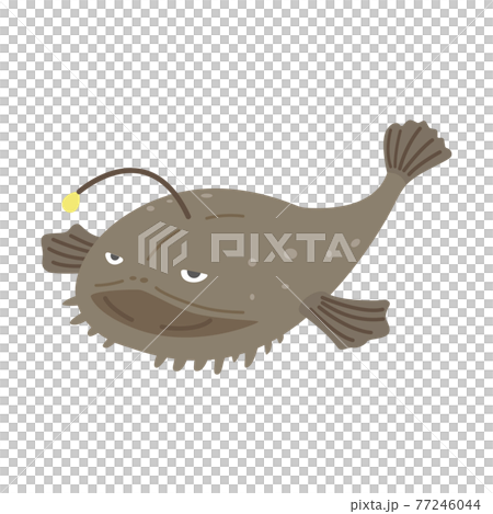 アンコウのイラスト アンコウのイラスト 77246044