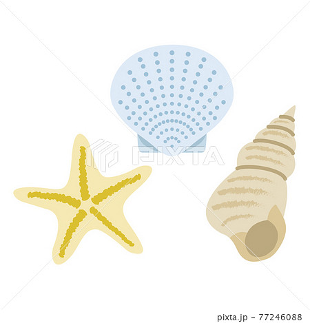 貝とヒトデのイラストのイラスト素材