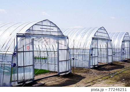 農業用ビニールハウス　北海道 77246251