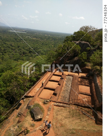 シギリヤ 77246304