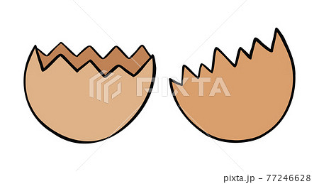 Cartoon vector illustration of broken eggshell. 77246628