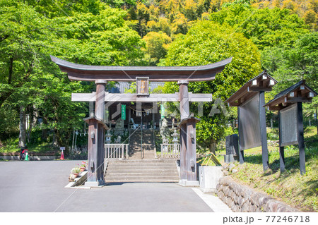 高尾山　明治の森　高尾山口駅側の氷川神社 77246718