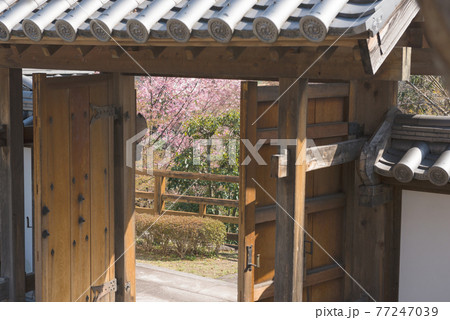 池田城跡公園 池田城跡公園 77247039