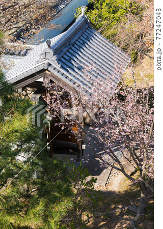 池田城跡公園 池田城跡公園 77247043
