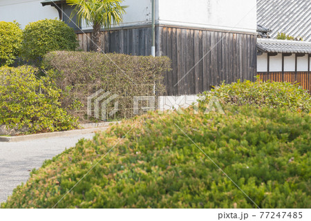 高槻城公園 高槻城公園 77247485