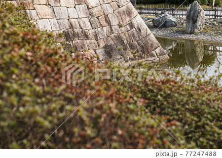 高槻城公園 高槻城公園 77247488