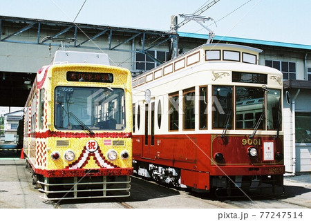 車両基地で並ぶ都電荒川線7000形と9000形 77247514