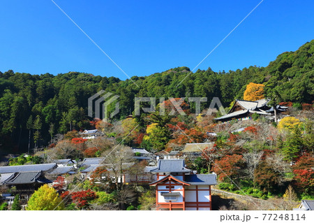秋の長谷寺 紅葉風景 秋の長谷寺 紅葉風景 77248114