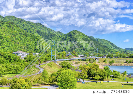 春の宮ヶ瀬湖畔園地　神奈川県 77248856