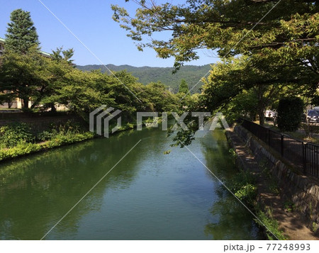 京都市の水路 京都市の水路 77248993