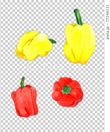 辣椒粉手繪透明水彩插圖集 77249131
