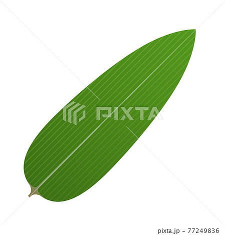 笹の葉 笹の葉 77249836