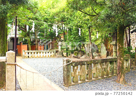 鎮西大社諏訪神社のしめ縄で仕切られた神聖な場所 鎮西大社諏訪神社のしめ縄で仕切られた神聖な場所 77250142