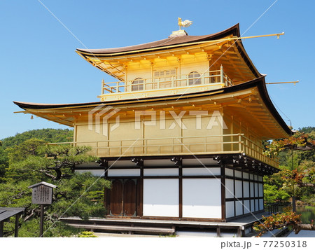 春の金閣寺 こけらぶき屋根のふき替え後 春の金閣寺 こけらぶき屋根のふき替え後 77250318