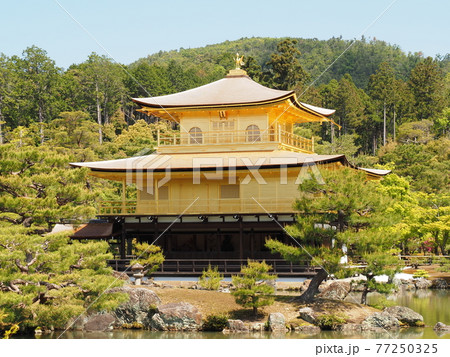 春の金閣寺 こけらぶき屋根のふき替え後 春の金閣寺 こけらぶき屋根のふき替え後 77250325