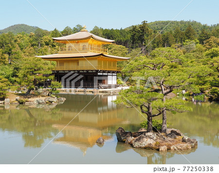 春の金閣寺 こけらぶき屋根のふき替え後 春の金閣寺 こけらぶき屋根のふき替え後 77250338
