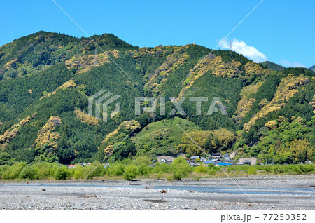安倍川の流れと静岡市郊外の里山風景 安倍川の流れと静岡市郊外の里山風景 77250352