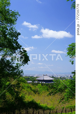 五月の東大寺大仏殿4 77250770