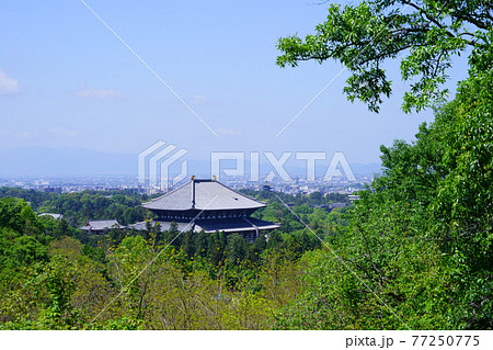五月の東大寺大仏殿9 五月の東大寺大仏殿9 77250775