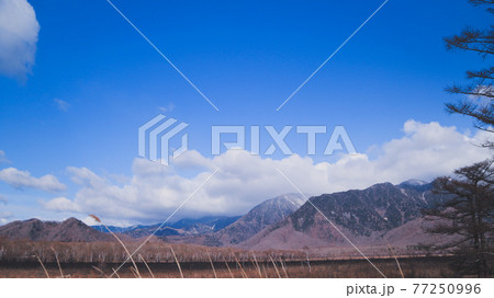 戦場ヶ原の風景 戦場ヶ原の風景 77250996