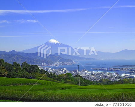 〈静岡〉日本平からの富士山と茶畑（Mt.fuji and Tea farm) 77251016