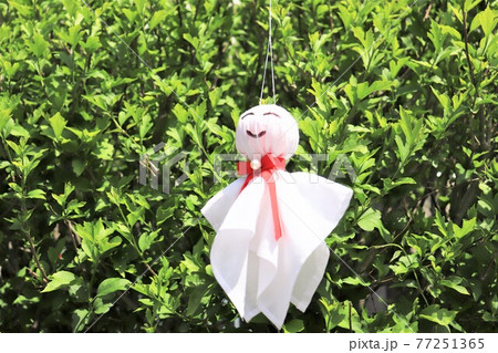 てるてる坊主 77251365