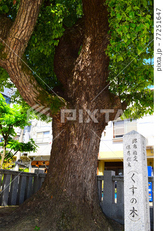 菅原神社 菅原神社 77251647