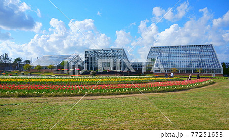 秋田の中にオランダがあった 77251653