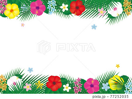 南国の花ハイビスカスとヤシの葉のフレーム ベクターイラストのイラスト素材