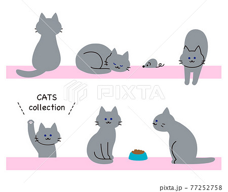 主線なし猫のセットおもちゃとキャットフード付きのイラスト素材