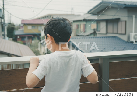 7 years old 7 years old 77253102