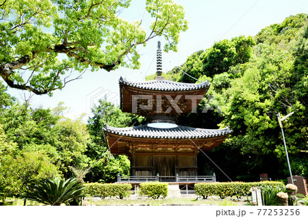 醫王山浄妙寺　多宝塔【和歌山県有田市】 77253256